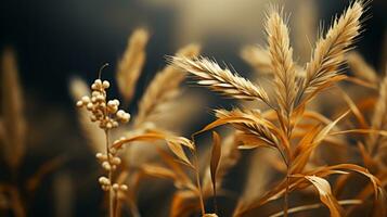 a close up of some wheat in the field generative ai photo