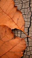a close up of two fallen leaves on a cracky surface generative ai photo