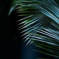 a close up photo of a palm leaf generative ai