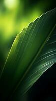 a close up photo of a green leaf generative ai