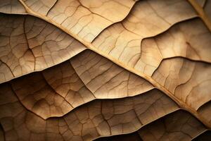 a close up photo of a leaf generative ai