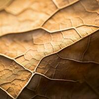 a close up view of a brown leaf generative ai photo