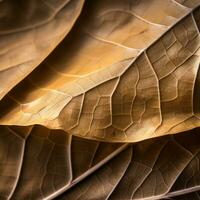 a close up view of a brown leaf generative ai photo