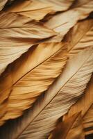a close up view of a bunch of brown feathers generative ai photo