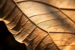 a close up view of a brown leaf generative ai photo