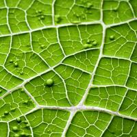 un cerca arriba ver de un verde hoja con agua gotas generativo ai foto