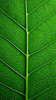a close up view of a green leaf generative ai photo