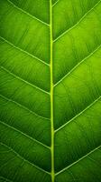 a close up view of a green leaf generative ai photo