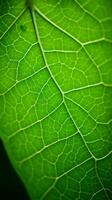 a close up view of a green leaf generative ai photo