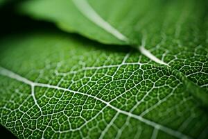 a close up view of a green leaf generative ai photo