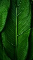 a close up view of a green leaf generative ai photo