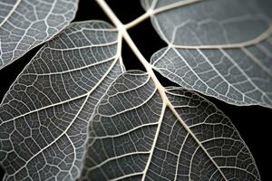 a close up view of a leaf on a black background generative ai photo