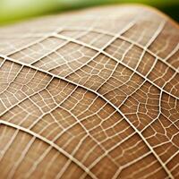 a close up view of a leaf with a net pattern generative ai photo