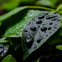 a close up view of a leaf with water droplets on it generative ai photo