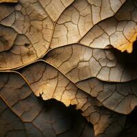 a close up view of a leaf with cracks in it generative ai photo