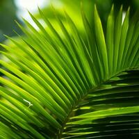 a close up view of a palm leaf generative ai photo