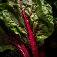 a close up view of a red beet leaf with water droplets on it generative ai photo