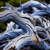a close up view of a tree branch with blue paint on it generative ai photo