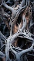 a close up view of a tree trunk that has been twisted generative ai photo