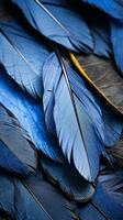 a close up view of blue feathers on a black background generative ai photo