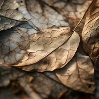 a close up view of dried leaves on the ground generative ai photo