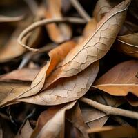 a close up view of dried leaves on the ground generative ai photo