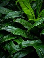 a close up view of green leaves on a plant generative ai photo