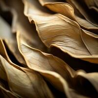 a close up view of some brown leaves generative ai photo