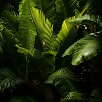 a close up view of some green leaves in the jungle generative ai photo