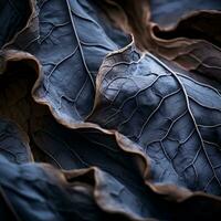 a close up view of some leaves on a dark background generative ai photo