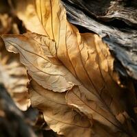 a close up view of some leaves on a tree generative ai photo