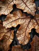 a close up view of the leaves of an oak tree generative ai photo