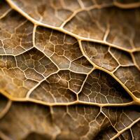 a close up view of the surface of a leaf generative ai photo