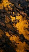 a close up view of the surface of the water generative ai photo