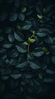 a dark background with leaves and water droplets generative ai photo