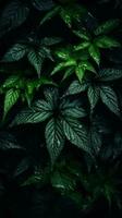 a dark background with green leaves on it generative ai photo