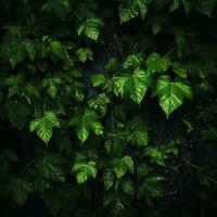 a dark background with green leaves on it generative ai photo