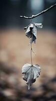 a dead leaf hanging from a branch in front of a blurry background generative ai photo