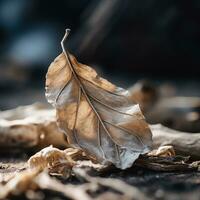 a dead leaf laying on the ground generative ai photo