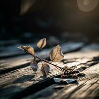a dead leaf on a wooden table with the sun shining in the background generative ai photo