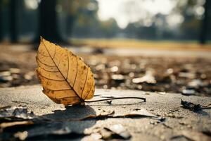 a dead leaf laying on the ground in the middle of a park generative ai photo
