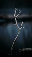 a dead tree branch in the middle of a lake generative ai photo