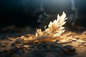 a dead leaf on the ground with a light shining on it generative ai photo