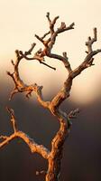a dead tree in the middle of a field generative ai photo