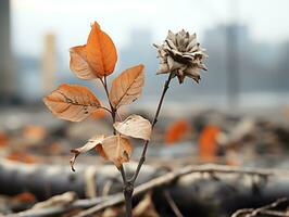 a dead tree with a dead flower on top of it generative ai photo