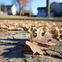 a fallen leaf lies on the ground in front of a house generative ai photo