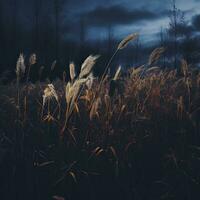 a field of tall grass under a dark sky generative ai photo