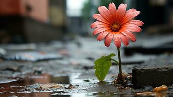 a flower growing out of a puddle of water generative ai photo