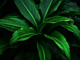 a green plant with water droplets on it generative ai photo