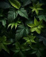 a group of green leaves on a black background generative ai photo